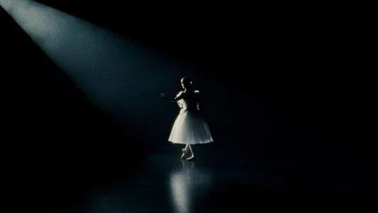 Foto de El cisne negro