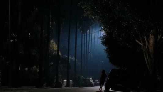 Foto de Mulholland Drive: Sueños, misterios y secretos