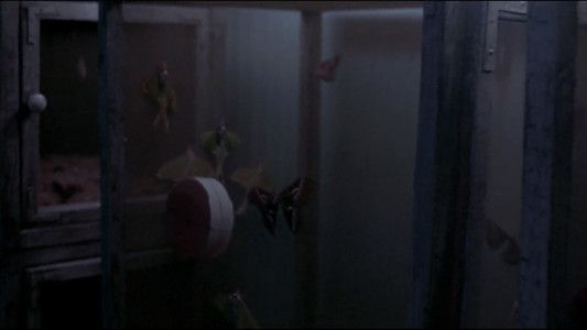 Foto de El Silencio de los Inocentes