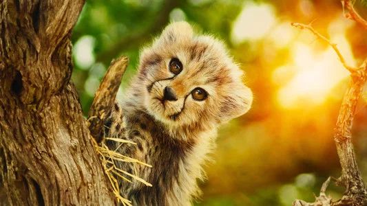 Foto de Salvajes por naturaleza