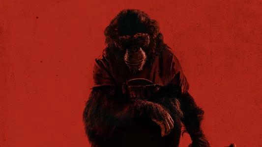 Foto de Primate