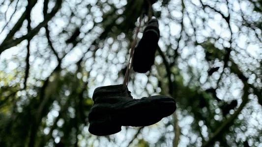 Foto de Gretel & Hansel: Un siniestro cuento de hadas