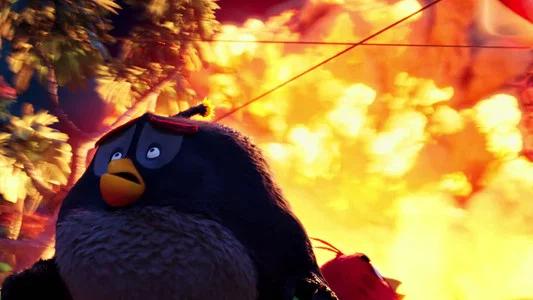 Foto de Angry Birds: La Película