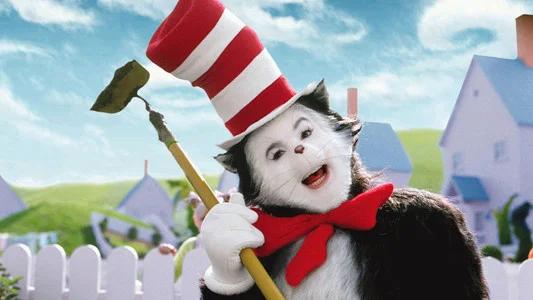 Foto de El gato