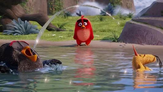 Foto de Angry Birds: La Película