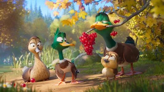 Foto de ¡Patos!