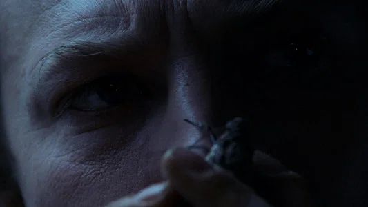 Foto de El Silencio de los Inocentes