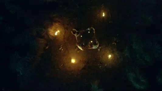 Foto de La isla de las Muñecas