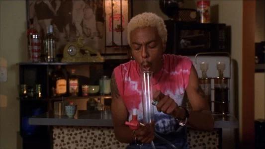 Foto de Van Wilder: Fiesta Salvaje