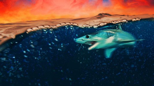 Foto de Shark Week 30 Años