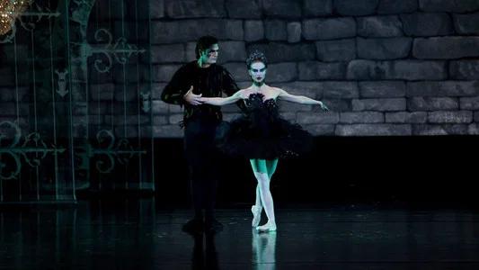 Foto de El cisne negro
