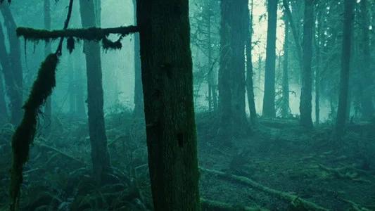 Foto de Crepúsculo