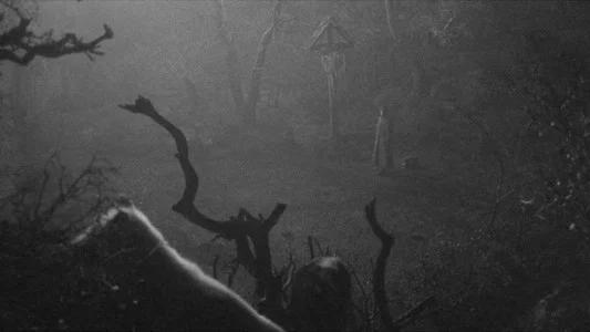 Foto de Drácula de Bram Stoker