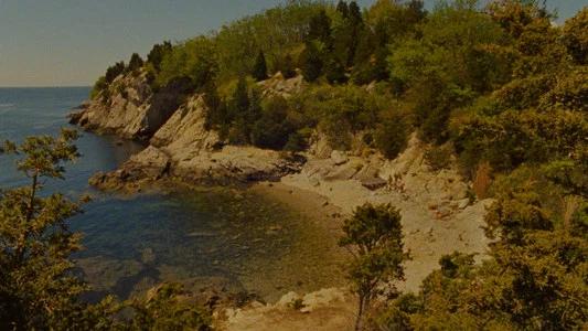 Foto de Moonrise Kingdom: Amor Infantil