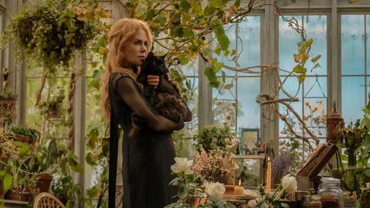 Foto de Hechizo de amor: La magia continúa