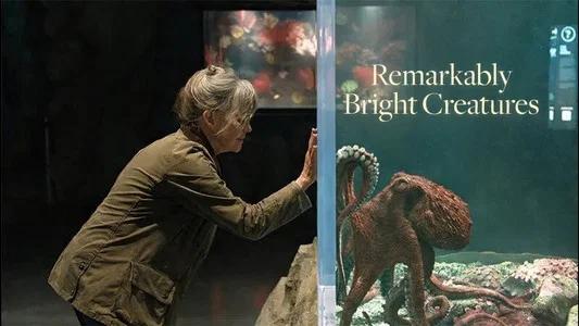 Foto de Criaturas luminosas