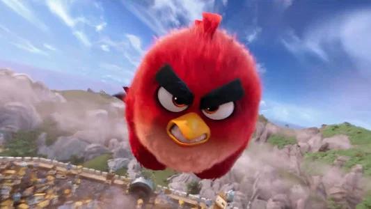 Foto de Angry Birds: La Película