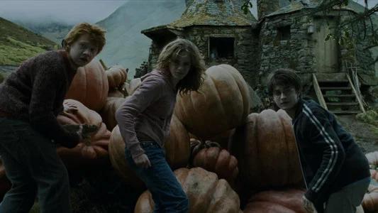 Foto de Harry Potter y el prisionero de Azkaban