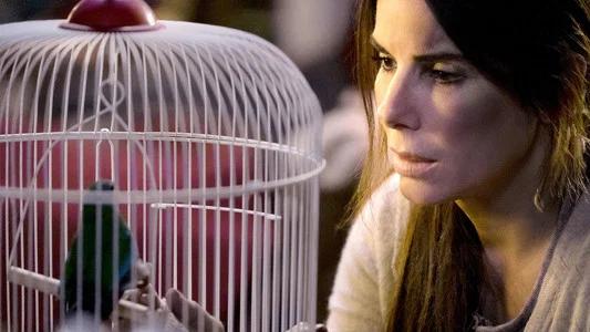 Foto de Bird Box: A Ciegas