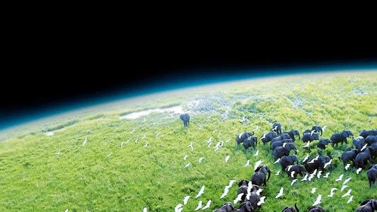 Foto de Planeta Tierra