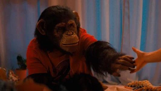 Foto de Primate