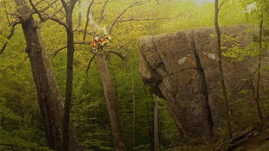 Foto de Moonrise Kingdom: Amor Infantil