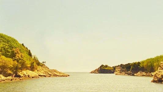 Foto de Moonrise Kingdom: Amor Infantil