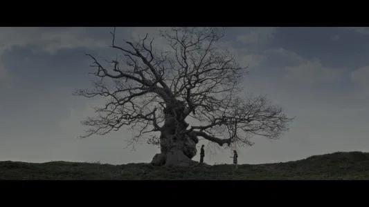 Foto de Harry Potter y las reliquias de la muerte: Parte 2