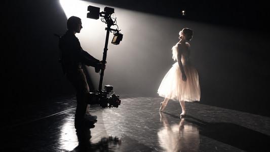 Foto de El cisne negro