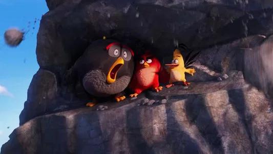 Foto de Angry Birds: La Película