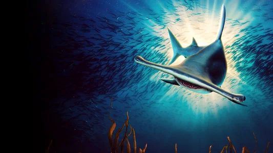 Foto de Shark Week 30 Años