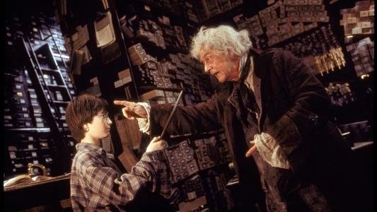 Foto de Harry Potter y la piedra filosofal