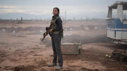 Foto de Operativo: Lioness
