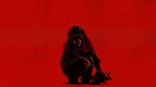 Foto de Primate
