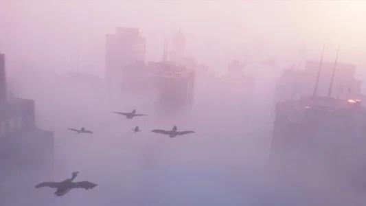 Foto de ¡Patos!