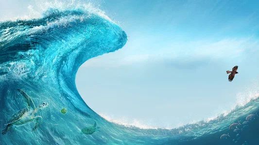 Foto de Moana