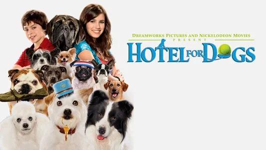 Foto de Hotel para Perros