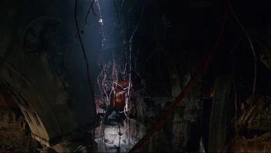 Foto de The Lost Boys