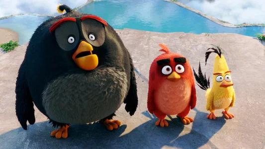 Foto de Angry Birds: La Película
