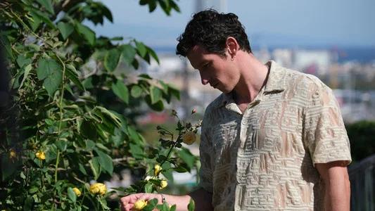Foto de Rosebush Pruning