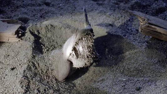 Foto de Terror Bajo la Tierra