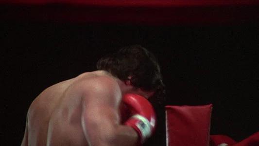 Foto de Rocky