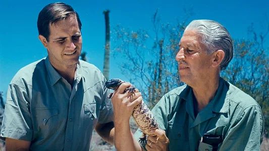 Foto de Mutual of Omaha's Wild Kingdom