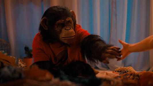 Foto de Primate