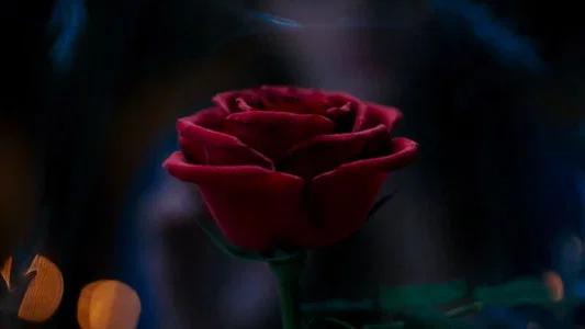 Foto de La Bella y La Bestia