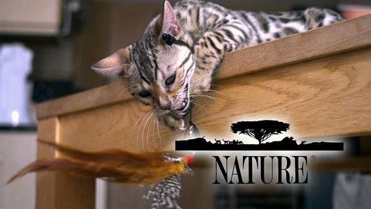 Foto de Nature