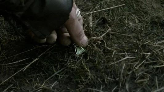 Foto de El señor de los anillos: Las dos torres