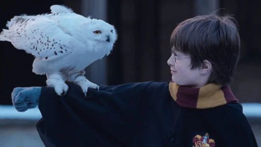 Foto de Harry Potter y la piedra filosofal