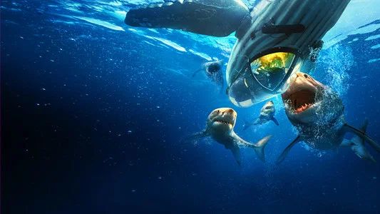 Foto de Shark Week 30 Años