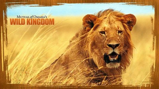 Foto de Mutual of Omaha's Wild Kingdom
